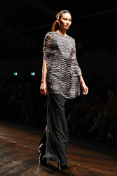 Aminaka Wilmont Model