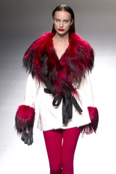 Eugenio Loarce Model