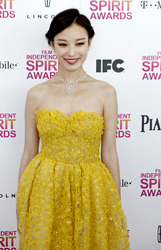 Ziyi Zhang / Zhang Zi-Yi