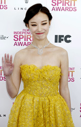 Ziyi Zhang / Zhang Zi-Yi