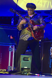 Al McKay (Earth Wind & Fire Experience feat. Al McKay Allstars)