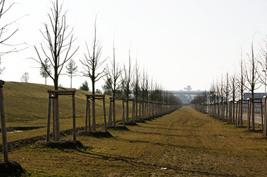 Flughafen Berlin-Brandenburg