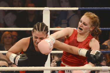 'Das große Sat.1 Promiboxen 2013' TV-Show, Düsseldorf