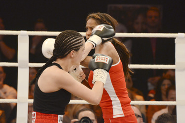 'Das große Sat.1 Promiboxen 2013' TV-Show, Düsseldorf