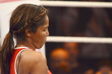 'Das große Sat.1 Promiboxen 2013' TV-Show, Düsseldorf