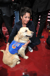 'Goldene Bild der Frau 2013' Preisverleihung, Berlin