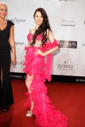 4. Filmball Vienna 2013, Wien