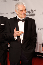 4. Filmball Vienna 2013, Wien