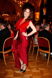 4. Filmball Vienna 2013, Wien