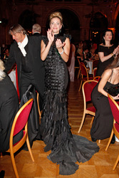 4. Filmball Vienna 2013, Wien