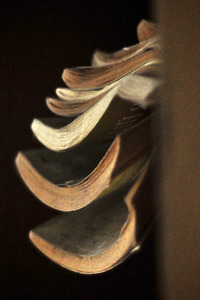 Prypjat nach der Nuklearkatastrophe von Tschernobyl / Pripyat after the Chernobyl Disaster