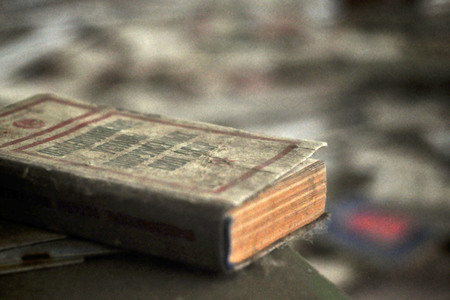 Prypjat nach der Nuklearkatastrophe von Tschernobyl / Pripyat after the Chernobyl Disaster