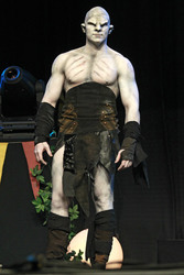 'There And Back Again - The Hobbit Convention', Bonn