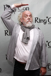 'There And Back Again - The Hobbit Convention', Bonn