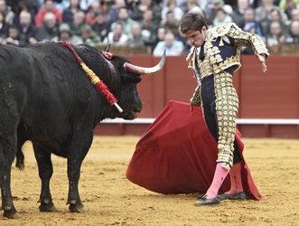 Stierkampf in Sevilla