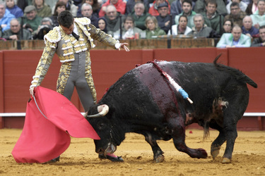 Stierkampf in Sevilla