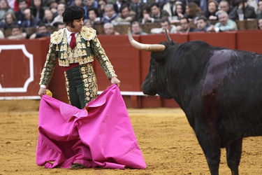 Stierkampf in Sevilla