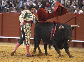 Stierkampf in Sevilla