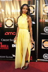 'Free Angela and All Political Prisoners' Premiere, New York