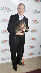 16. ASPCA Bergh Ball, New York