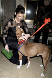 16. ASPCA Bergh Ball, New York