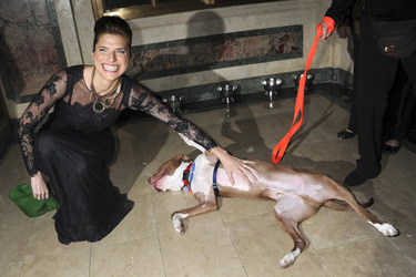16. ASPCA Bergh Ball, New York