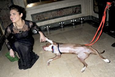 16. ASPCA Bergh Ball, New York