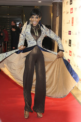 'Lights and Stars' Charity Dinner Show, Hamburg