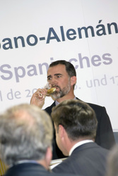 Deutsch-Spanisches Forum, Madrid