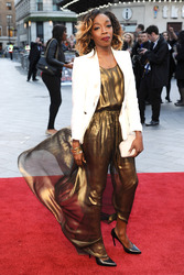 'Iron Man 3' Premiere, London