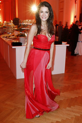 Romy Gala 2013, Wien