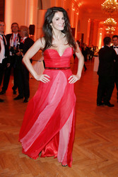 Romy Gala 2013, Wien