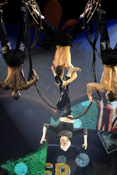 Pink Konzert, Hamburg