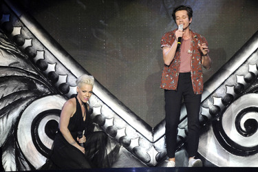Pink Konzert, Hamburg