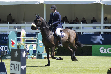 Global Champions Tour 2013, Madrid