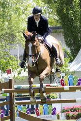 Global Champions Tour 2013, Madrid