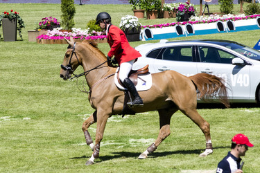 Global Champions Tour 2013, Madrid