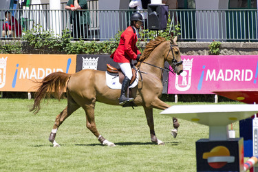 Global Champions Tour 2013, Madrid