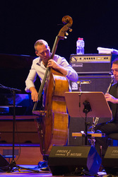Avishai Cohen Konzert, Hamburg