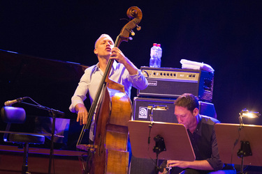Avishai Cohen Konzert, Hamburg