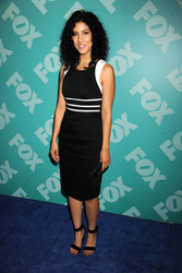 FOX Programm 2013 Präsentation, New York