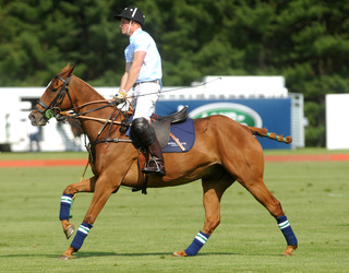 Sentebale Royal Salute Polo Cup Event, Greenwich
