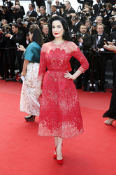 'Behind The Candelabra' Premiere, Cannes 2013