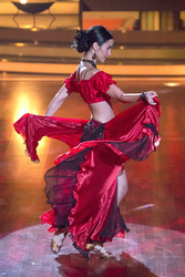 8. Show 'Let's Dance 2013', Köln