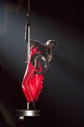 8. Show 'Let's Dance 2013', Köln