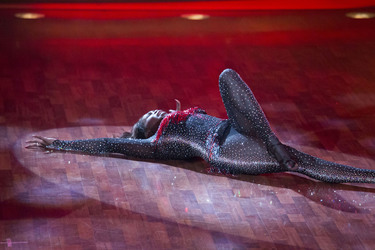 8. Show 'Let's Dance 2013', Köln
