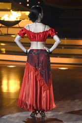 8. Show 'Let's Dance 2013', Köln