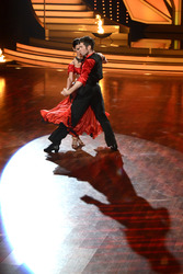 8. Show 'Let's Dance 2013', Köln