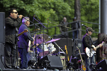 Los Lobos Konzert, Berlin