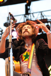 Free Press Summer Festival 2013, Houston